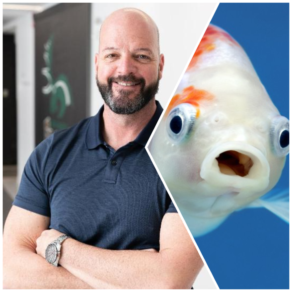 DÉTAILS SUR LA CAMPAGNE DE GRÈVE GÉNÉRALE ILLIMITÉE DU 1ER MAI